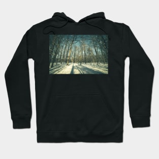 Winter forest landscape Hoodie